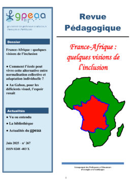 France-Afrique: quelques visions de l'inclusion