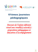 Parcours de l'enfant déficient visuel avec trouble(s) associé(s) : propositions pédagogiques et éducatives d'accompagnement