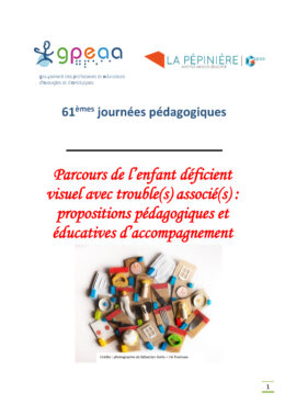 Parcours de l'enfant déficient visuel avec trouble(s) associé(s) : propositions pédagogiques et éducatives d'accompagnement